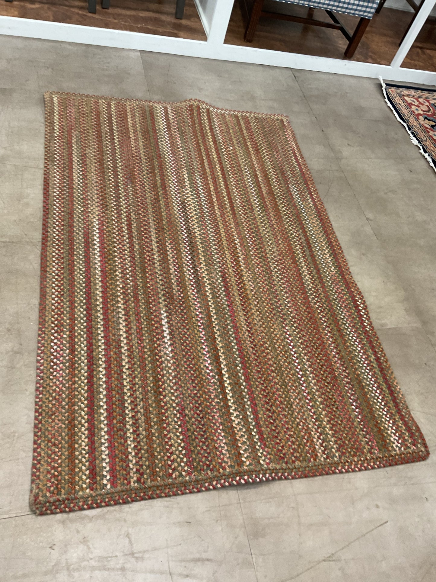 Braided Area Rug (F81)
