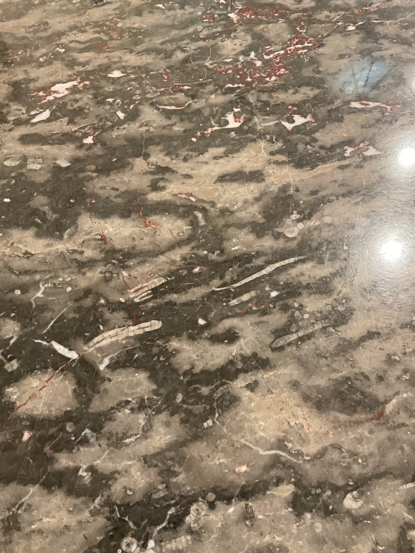 Tuga Stone Coffee Table