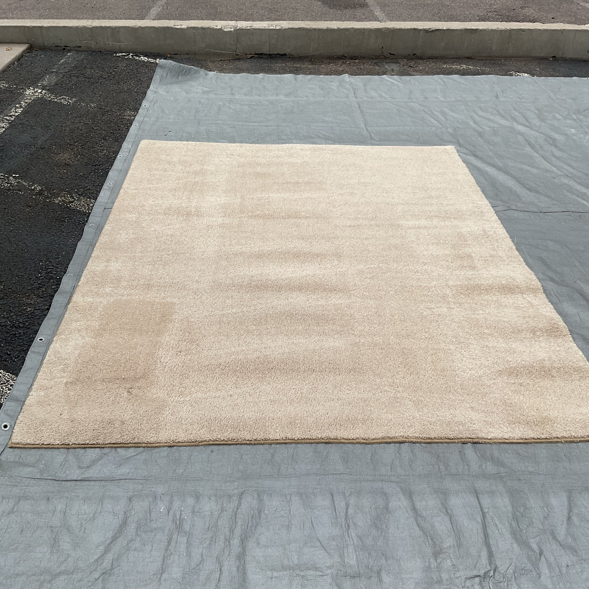 Dune Rug (R094)