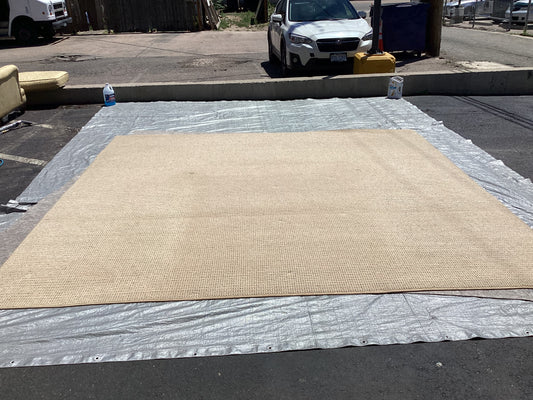 Cream Rug (R003)