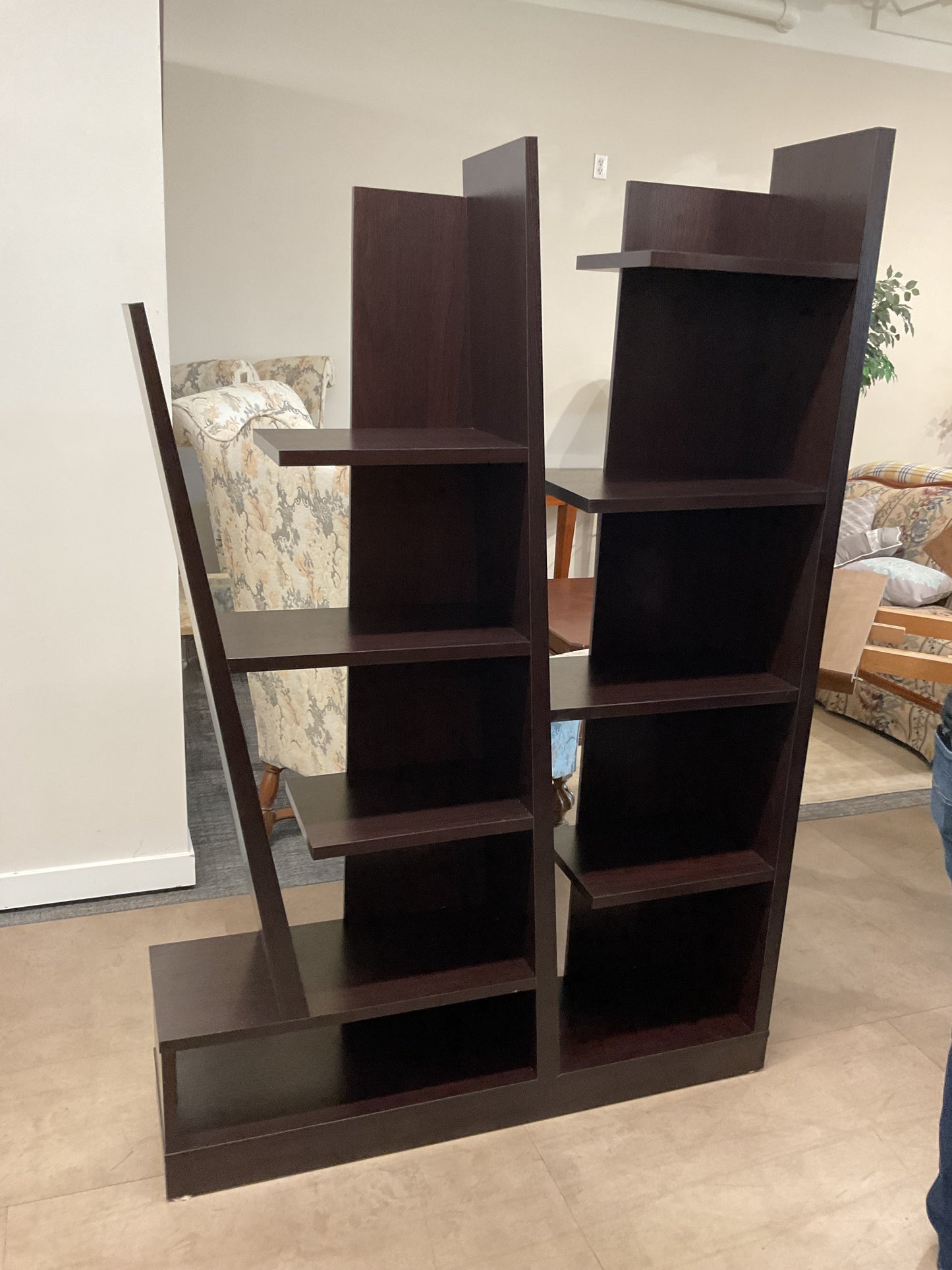 Beetlejuice bookshelf