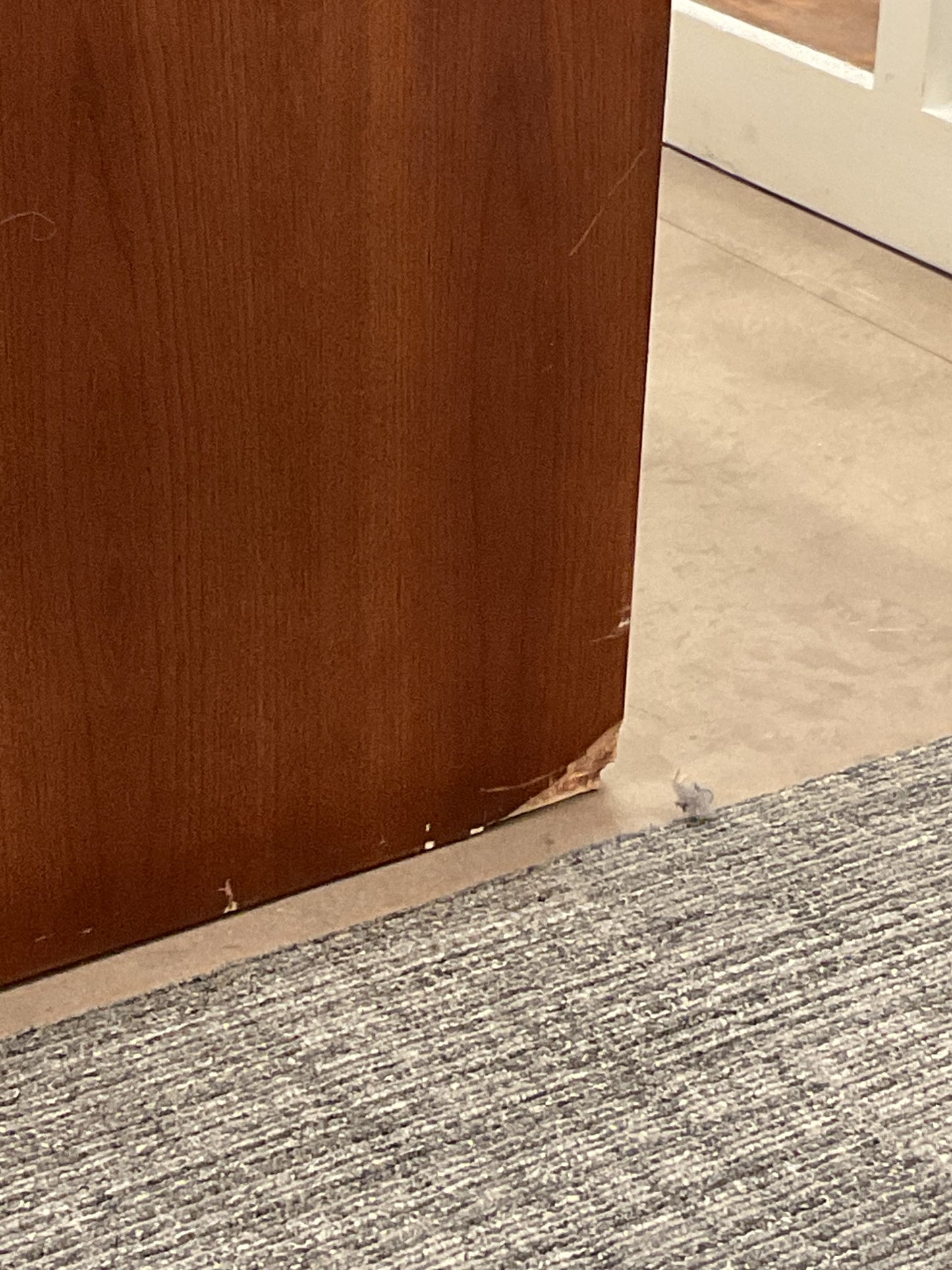 Small But Mighty TV Console