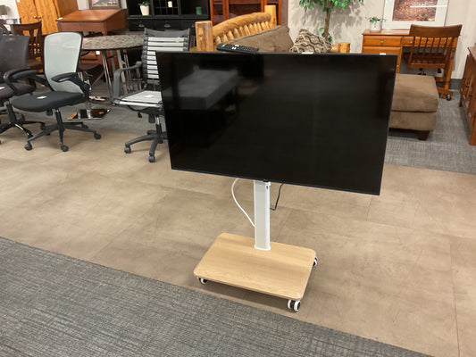 Flat Screen TV with Mobile Rolling Stand