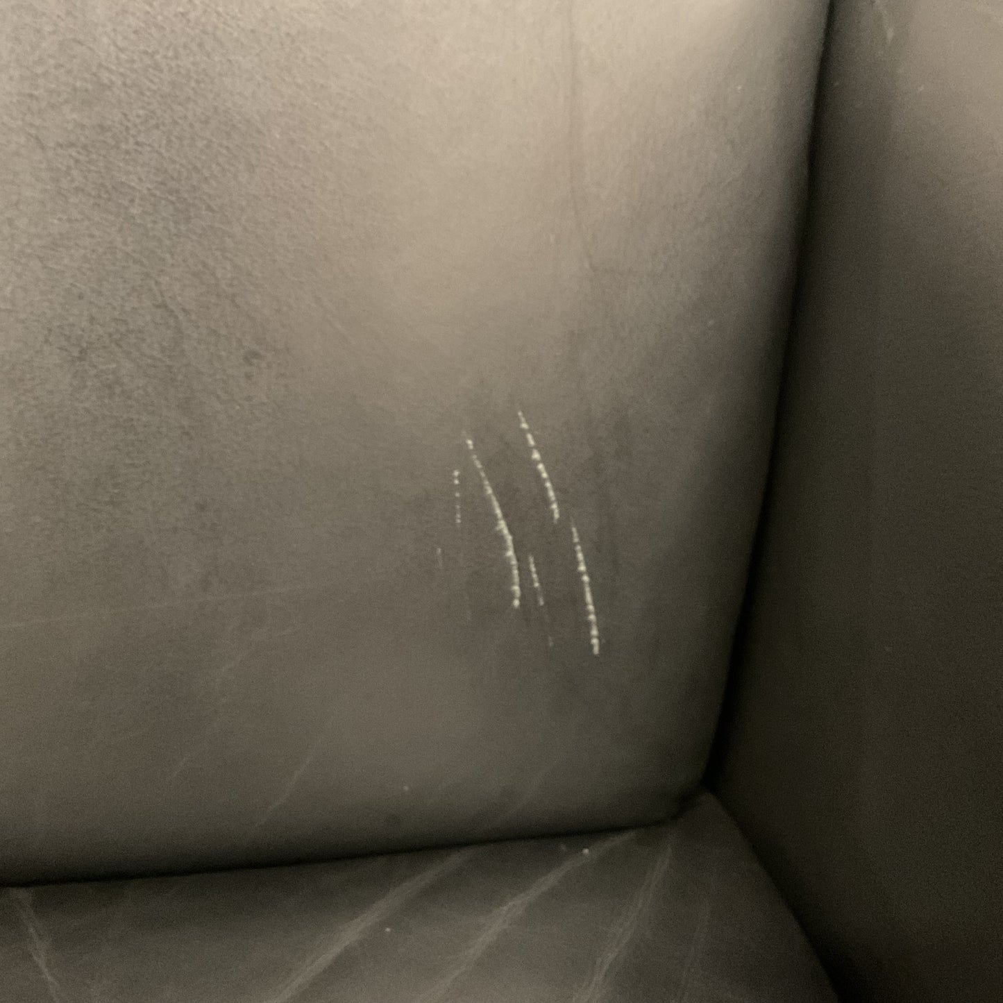 Lobby Lounge Chair