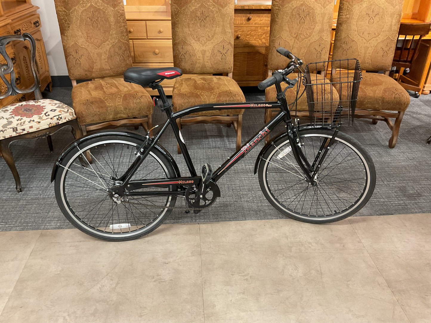 Ride Along Bike