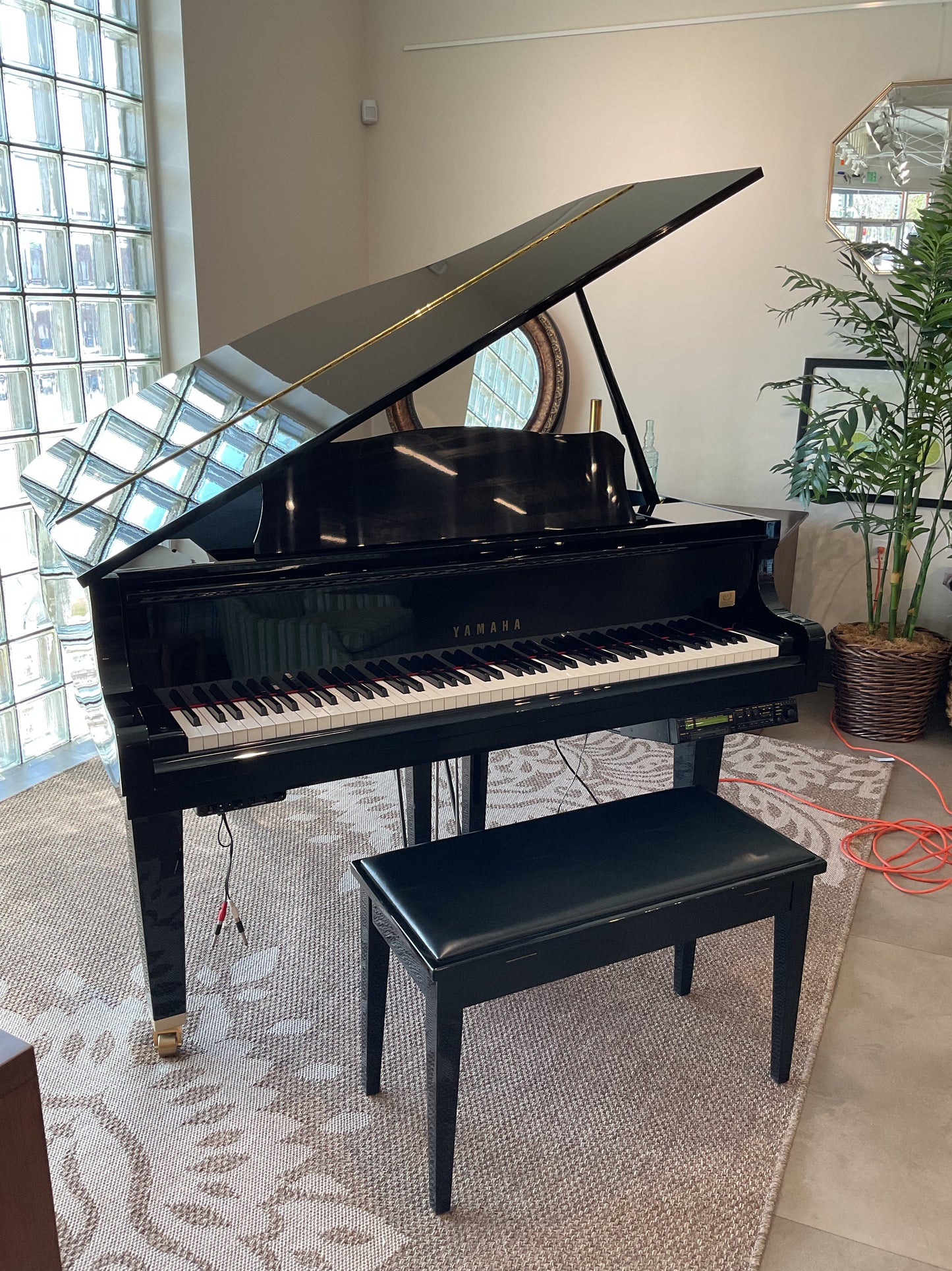 Petite Grand Piano (Electric)
