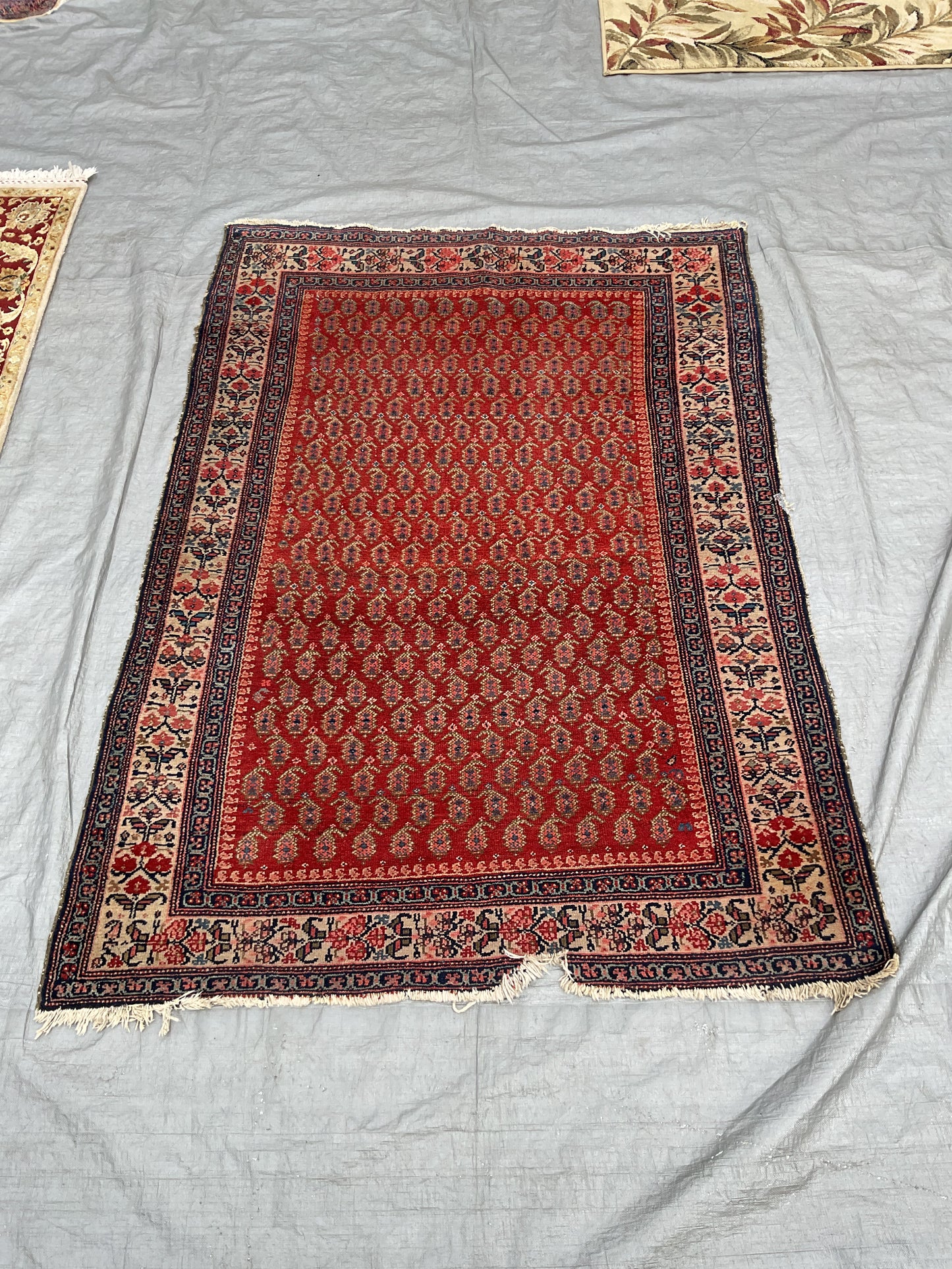 Twizzler Rug (R072)