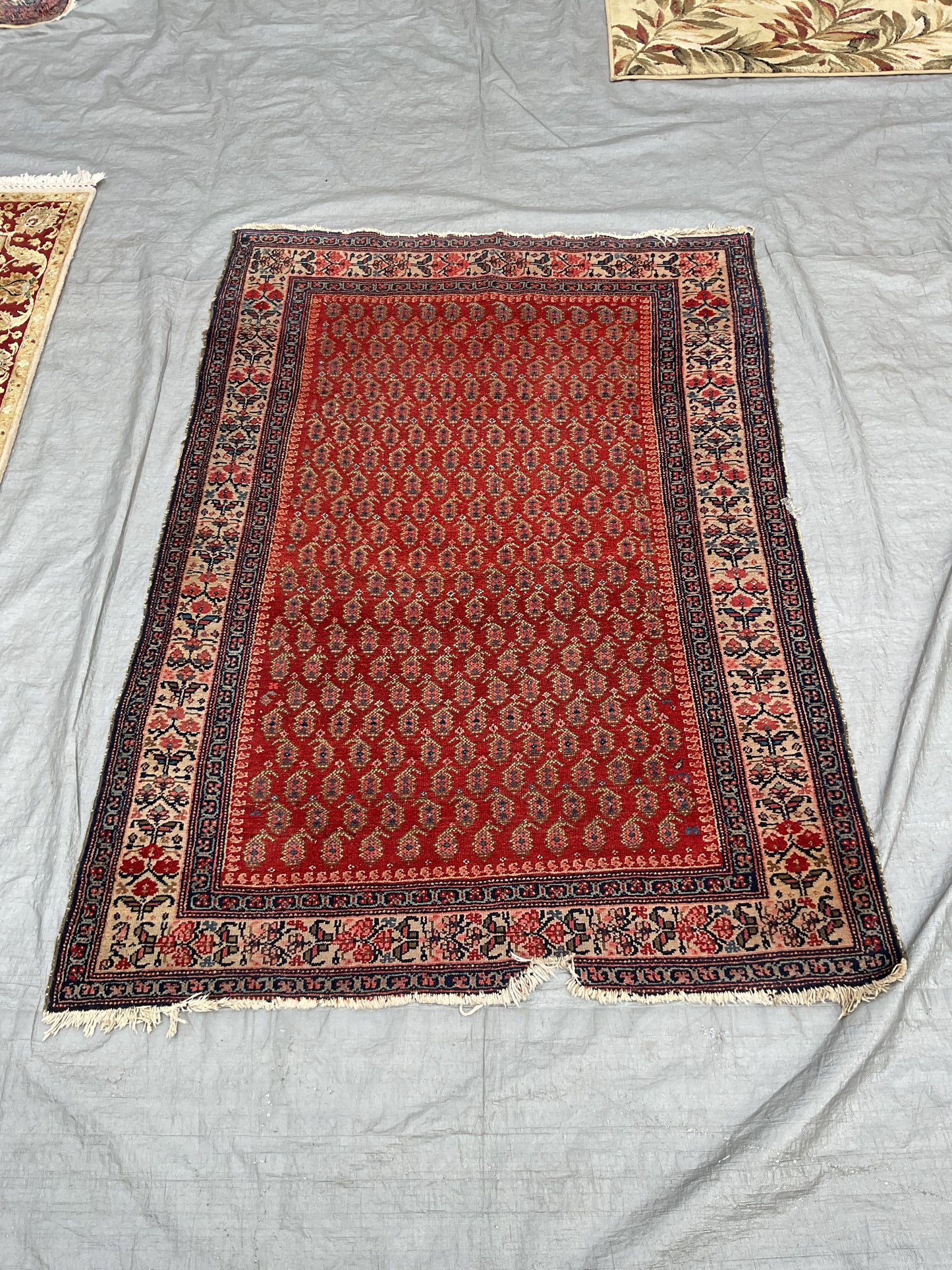Twizzler Rug (R072)