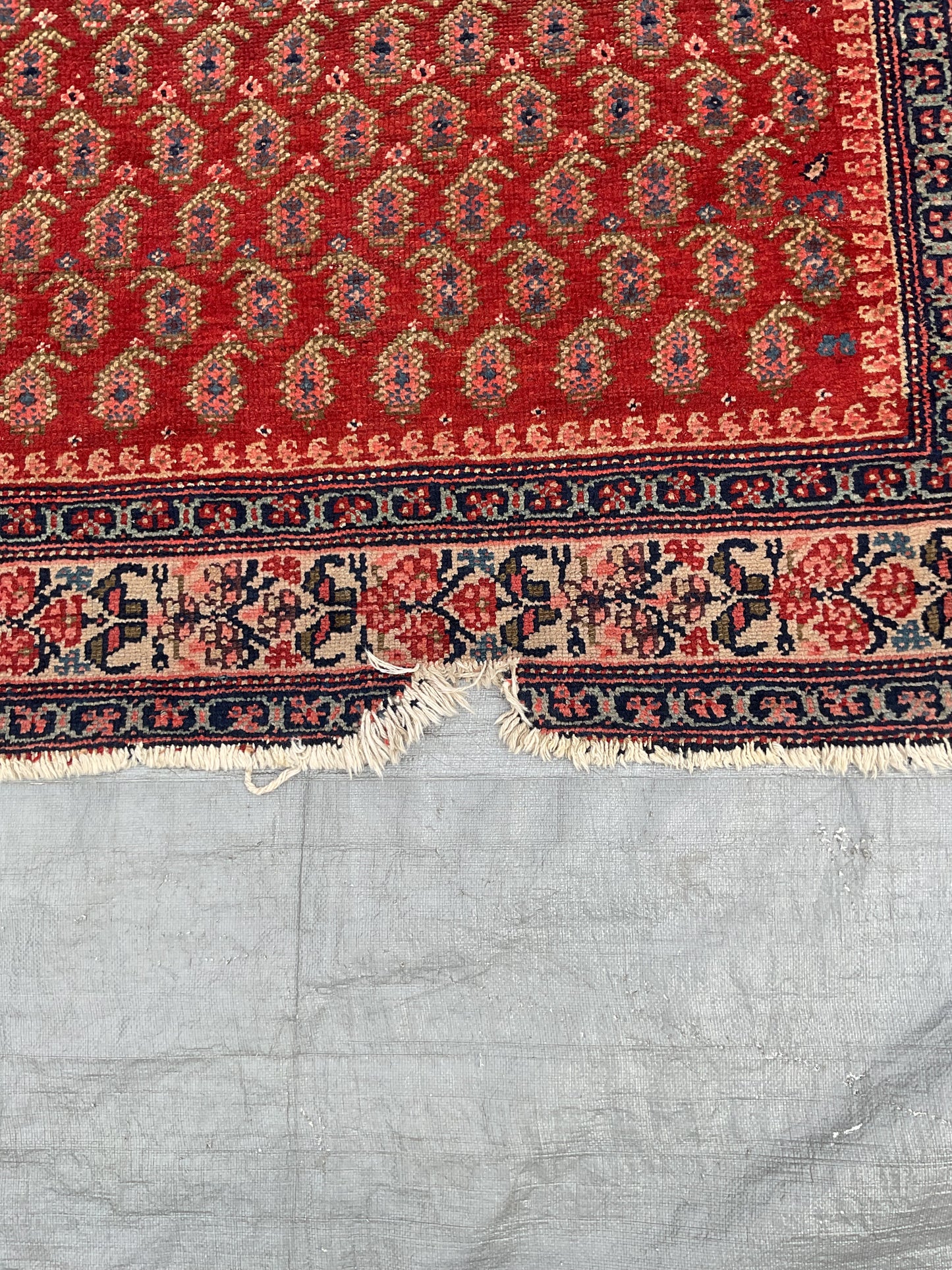 Twizzler Rug (R072)