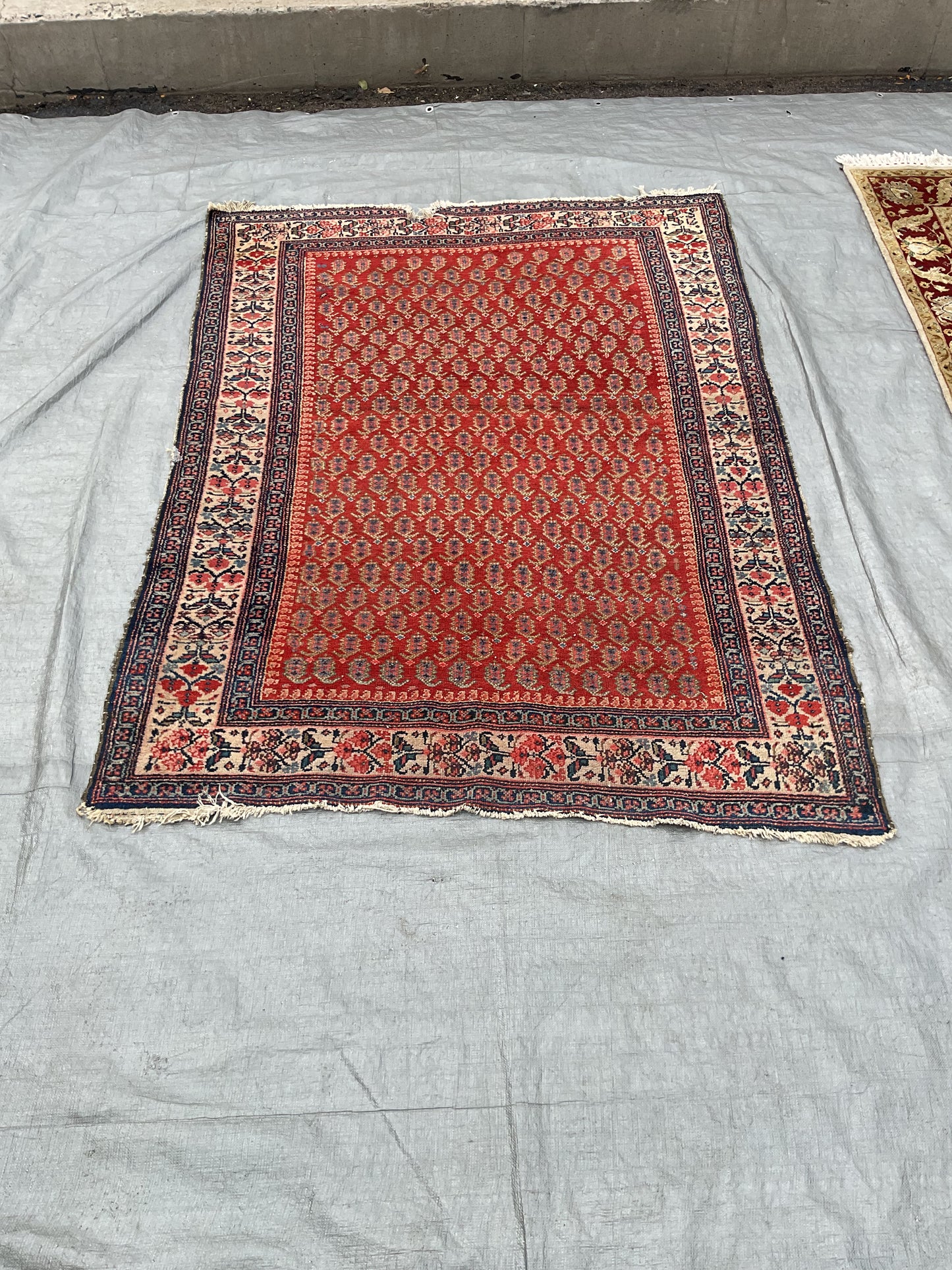 Twizzler Rug (R072)