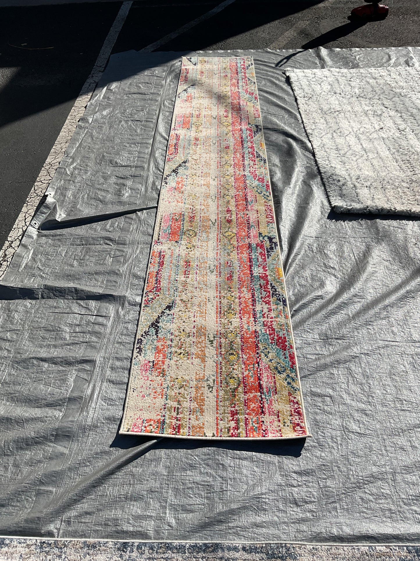 Runaway Rug (R100)