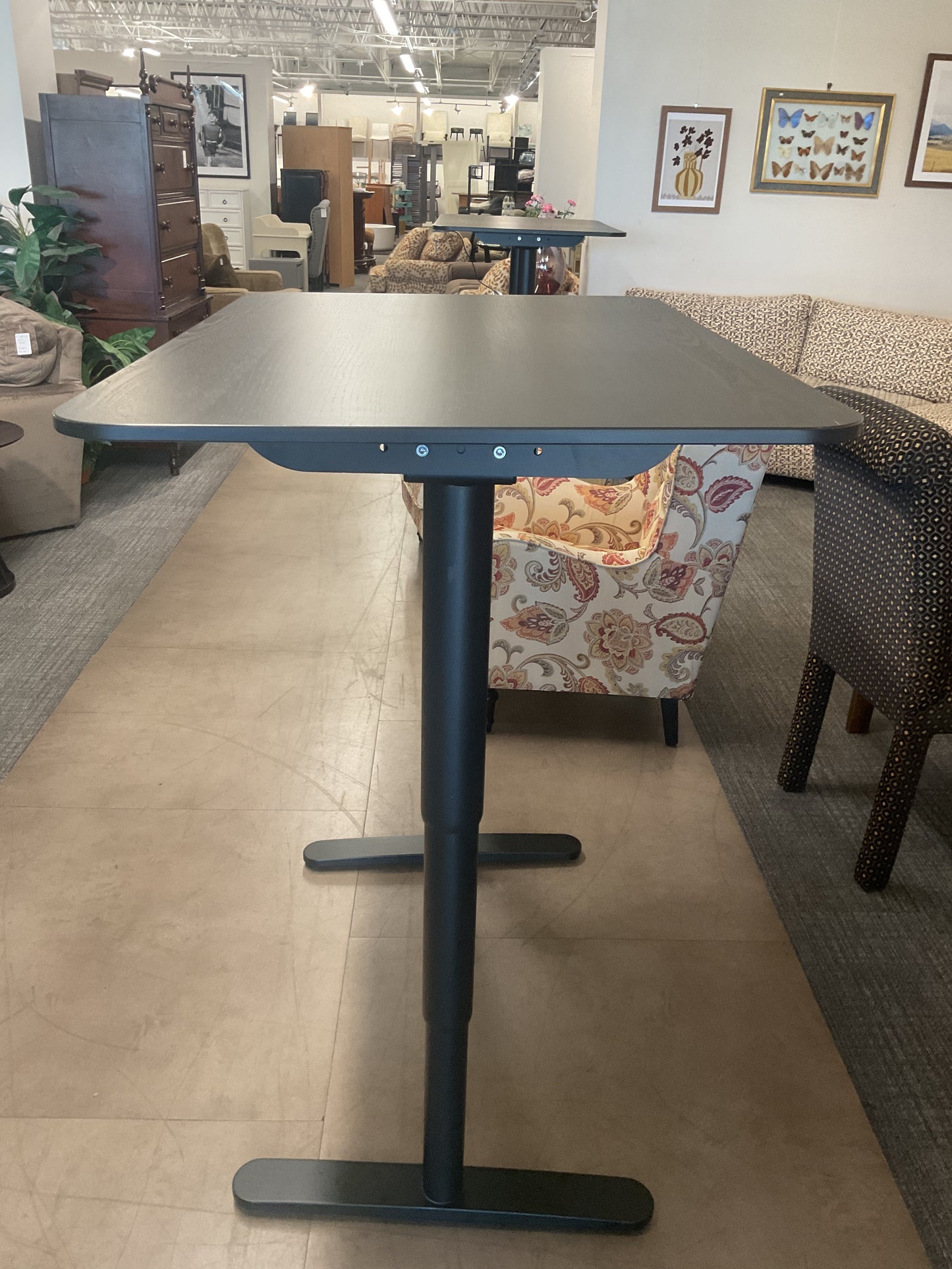 Midnight  Adjustable Desk