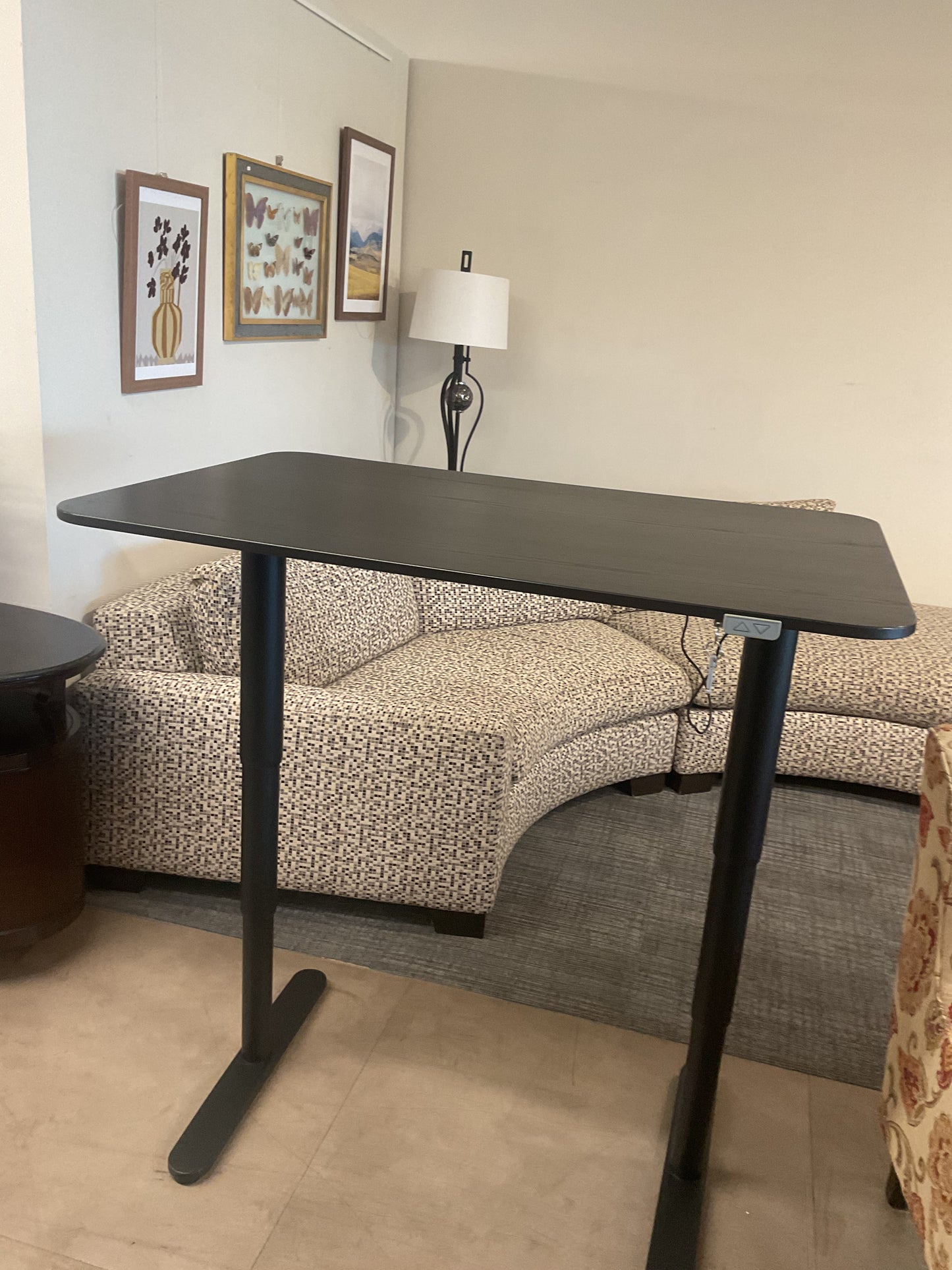 Midnight  Adjustable Desk