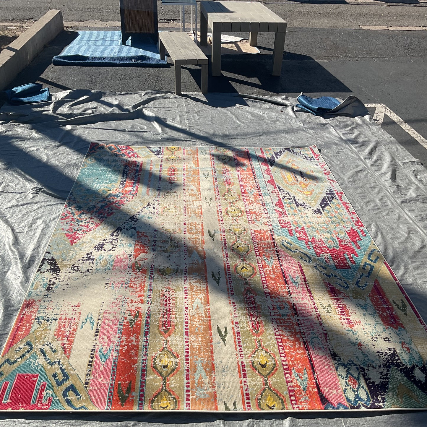 New Mexico Vibes Rug (R118)