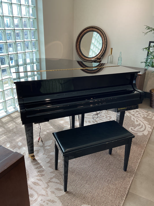 Petite Grand Piano